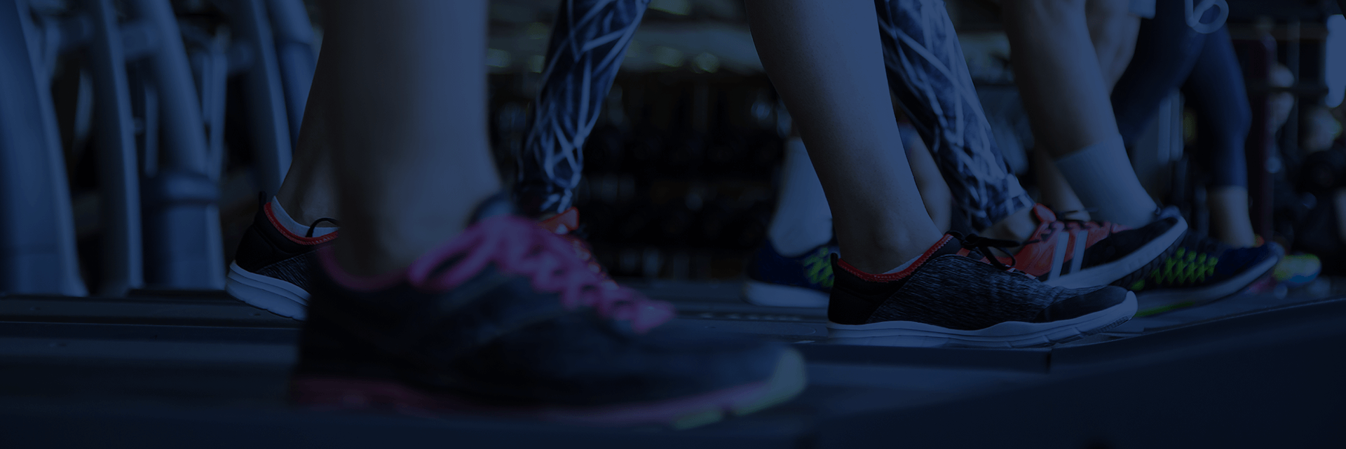  Cardio